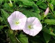 Winde iЂ邪j