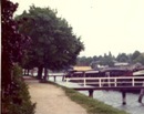 gjIƃnX̎U